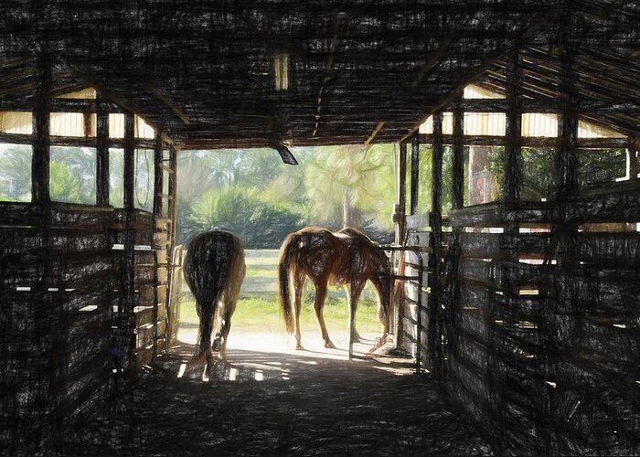Barn Greeting Card featuring the photograph Morning Exit II by Jody Lovejoy