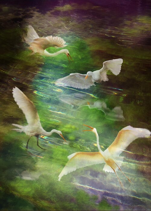 Herons Greeting Card featuring the photograph Morning Fishing by Melinda Hughes-Berland
