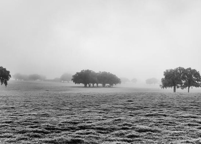 Landscape Greeting Card featuring the photograph Morning Fog by Howard Salmon