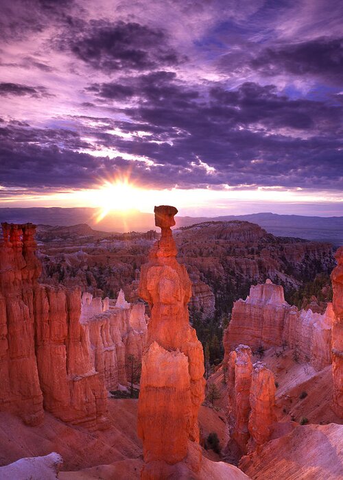 National Park Greeting Card featuring the photograph Morning Glow by Ray Mathis