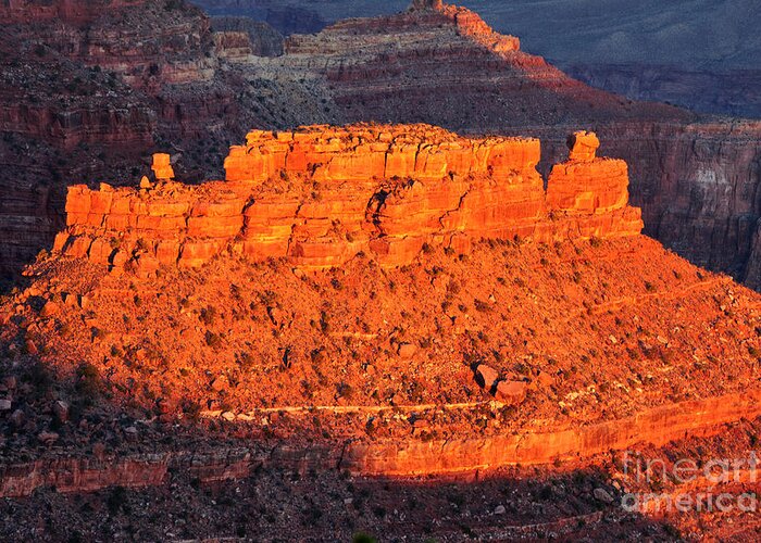 Grand Canyon Greeting Card featuring the photograph Morning Light Illuminates Rock Formation Grand Canyon National Park by Shawn O'Brien