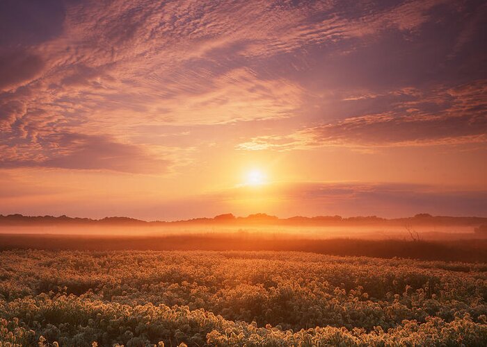 Sunset Greeting Card featuring the photograph Morning on the Fen by Ray Mathis