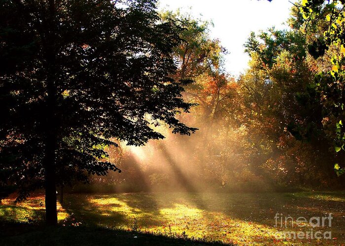 Autumn Greeting Card featuring the photograph Morning Sunshine by Linda Cox