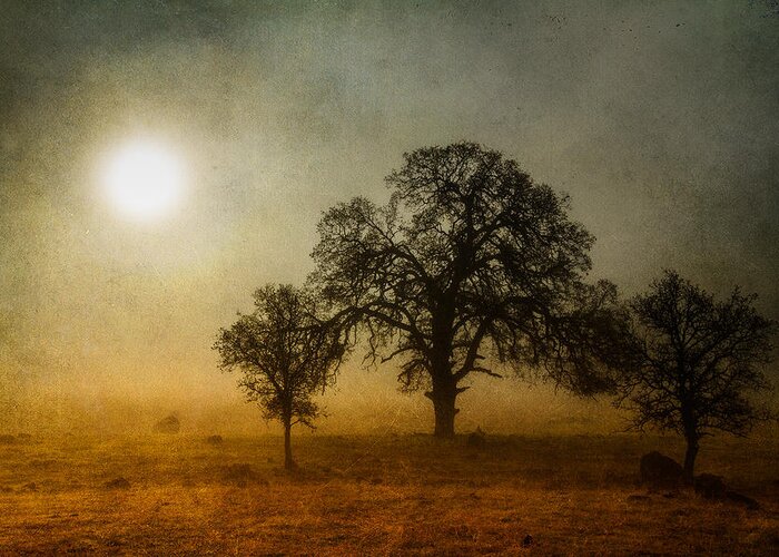 Foggy Morning Greeting Card featuring the photograph Morning Thaw by Randy Wood