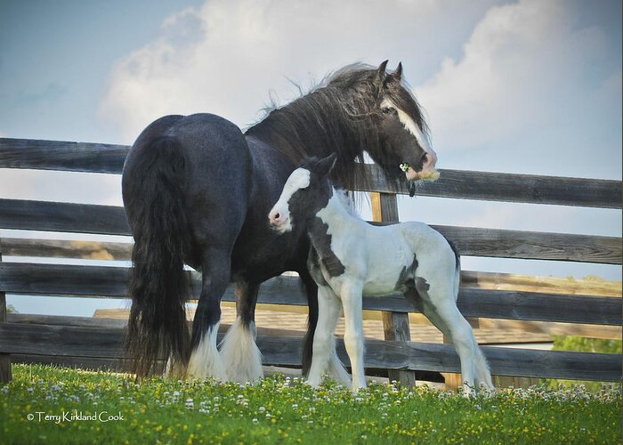 Equine Greeting Card featuring the photograph Mother and Son by Terry Kirkland Cook