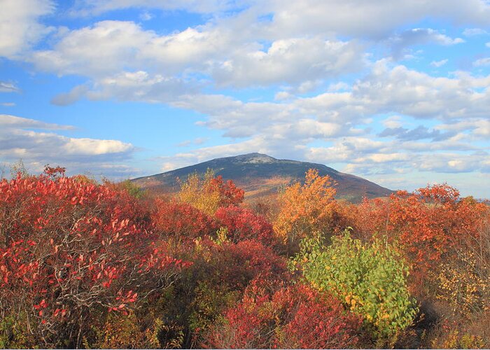 Mount Monadnock Greeting Card featuring the photograph Mount Monadnock from Gap Mountain in Autumn by John Burk