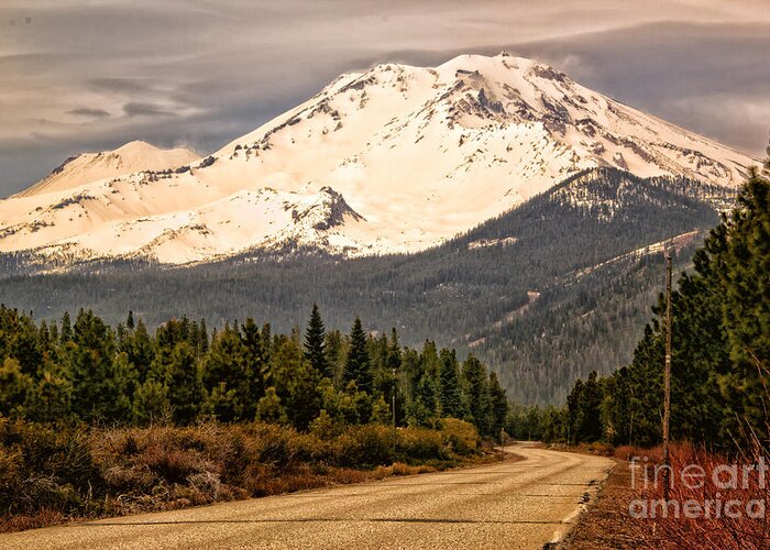Mount Shasta Greeting Card featuring the photograph Mount Shasta by Paul Gillham