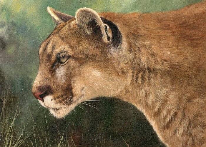Animals Greeting Card featuring the painting Mountain Lion by David Stribbling