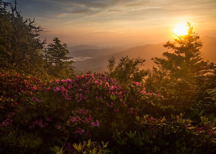 Sunrise Greeting Card featuring the photograph Mt LeConte- Myrtle Point Sunrise by Doug McPherson