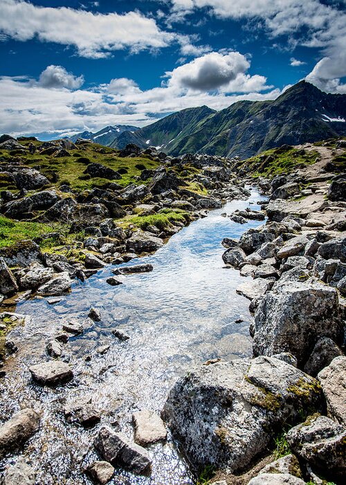 Water Greeting Card featuring the photograph Mountain Stream by Andrew Matwijec
