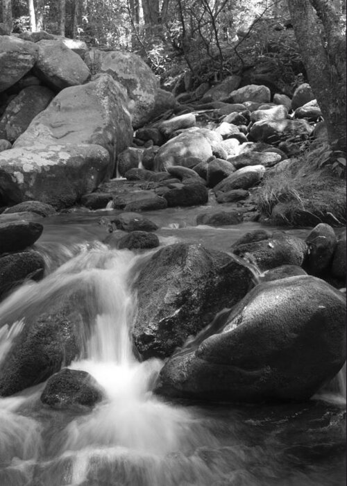 Brook Greeting Card featuring the photograph Mountain Stream Monochrome by Larry Bohlin