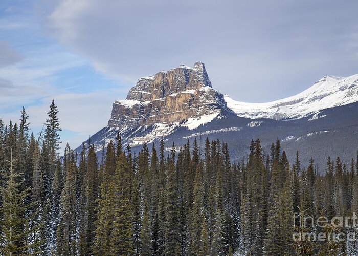 Banff Greeting Card featuring the photograph Mountain View by Evelina Kremsdorf