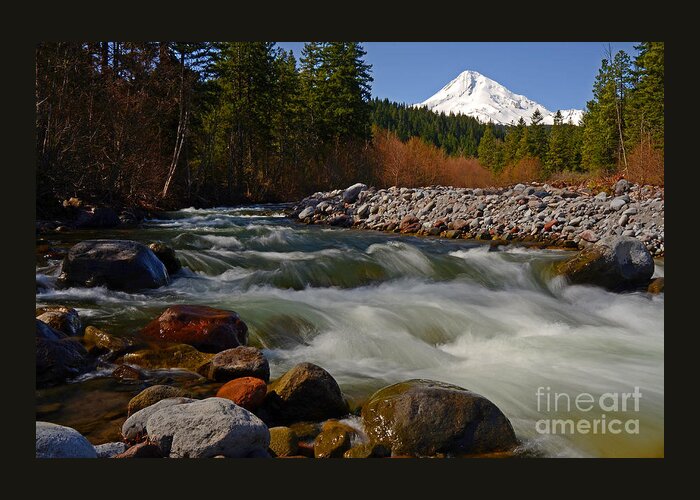 Pacific Greeting Card featuring the photograph Mt. Hood Landscape by Nick Boren