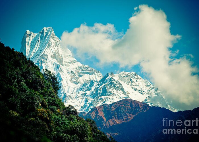 Annapurna Greeting Card featuring the photograph Mt Machapuchare or Fish Tail NEPAL by Raimond Klavins