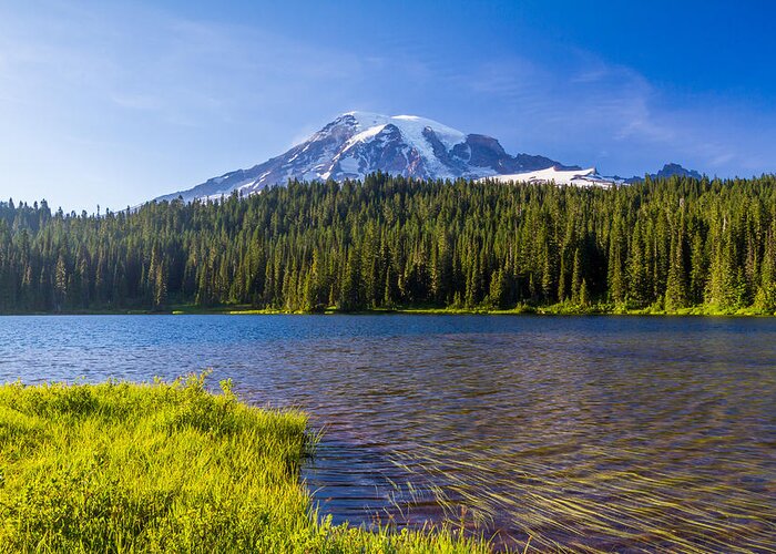 Lake Greeting Card featuring the photograph Mt Rainier Viewpoint by Ken Stanback