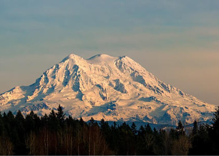 Mt Rainier Greeting Card featuring the photograph Mt Rainier Winter Panorama by Mary Jo Allen