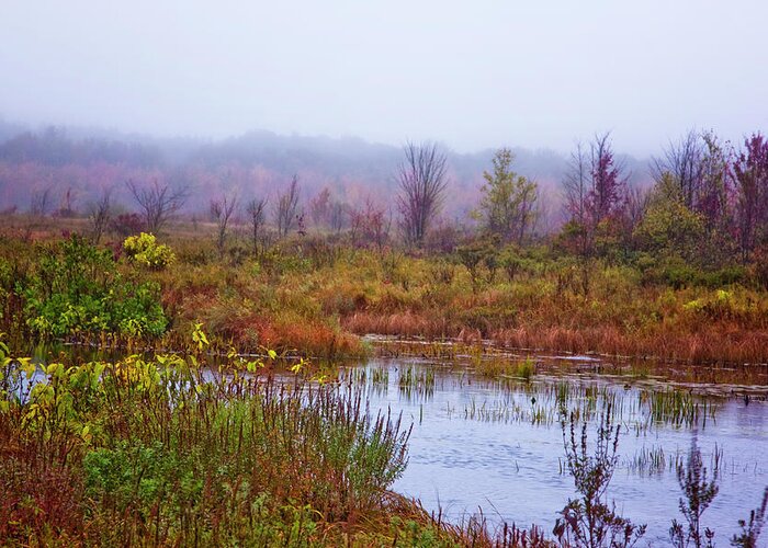 Mud Pond Greeting Card featuring the photograph Mud Pond In Autumn by Tom Singleton
