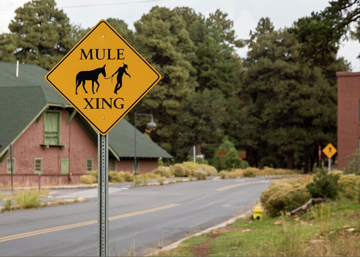 Nobody Greeting Card featuring the photograph Mule Crossing Warning Sign by Jim West