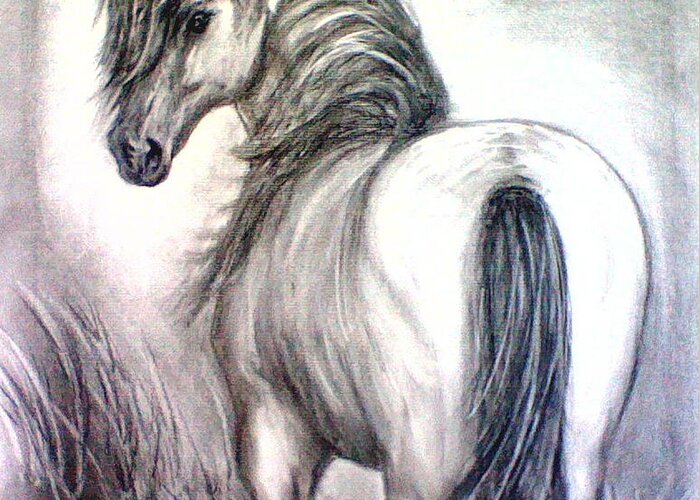 Horse Greeting Card featuring the drawing Mustang by J L Zarek