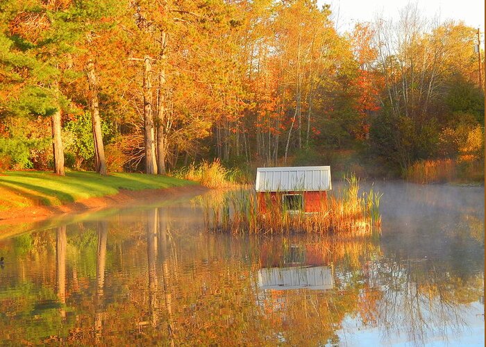 My Golden Pond Greeting Card featuring the photograph My Golden Pond by Karen Cook