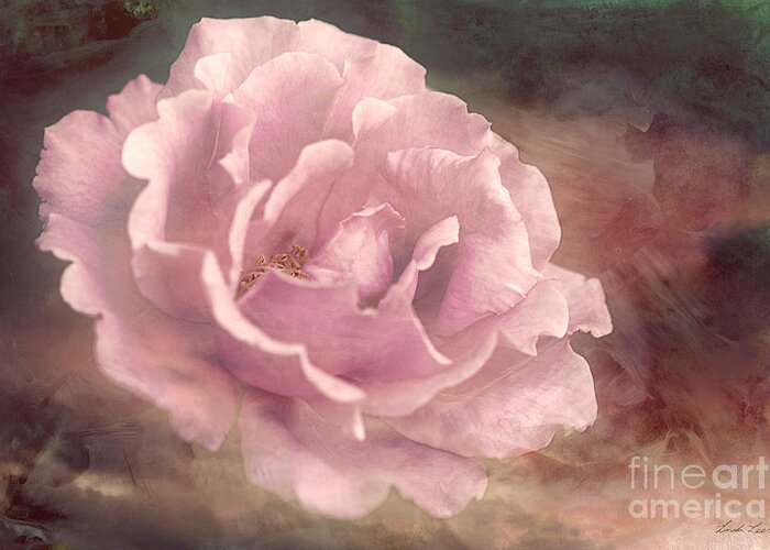 Rose Greeting Card featuring the photograph My Soul Surrendered by Linda Lees