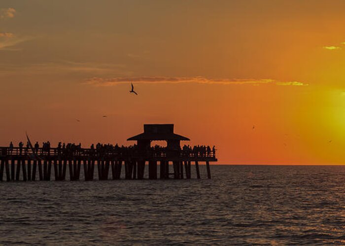 Bayshore Greeting Card featuring the photograph Naples Sunset by Raul Rodriguez