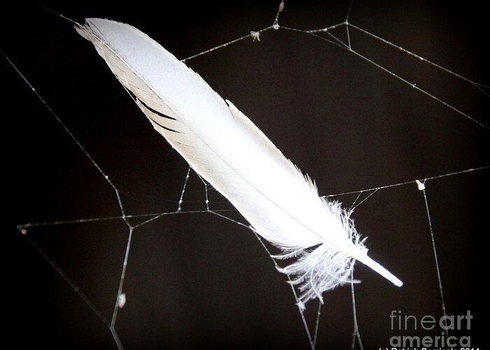 Feather Greeting Card featuring the photograph Natural Dream Catcher by Rabiah Seminole