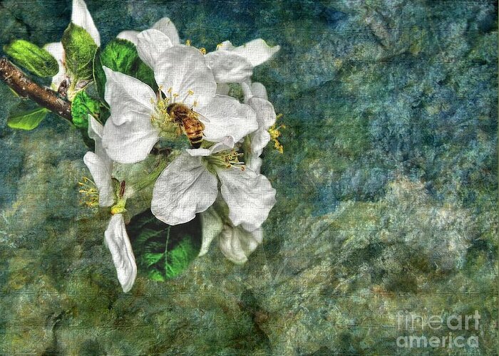 Bee Greeting Card featuring the photograph Natural High by Andrea Kollo