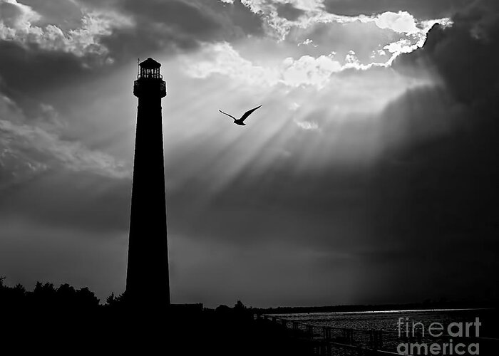 Lbi Greeting Card featuring the photograph Nature Shines Brighter in black and white by Mark Miller