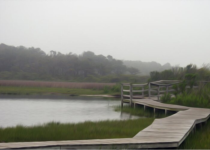 Park Greeting Card featuring the photograph Nature Walk by Kelvin Booker