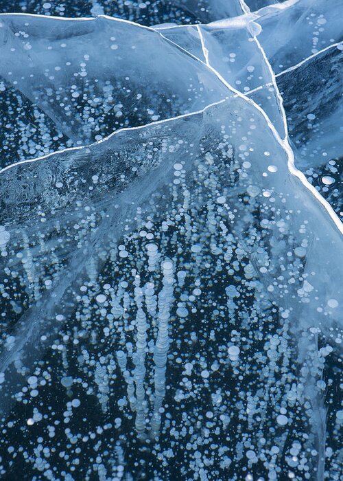 Air Bubble Greeting Card featuring the photograph Nature's Ice Art by Tim Grams