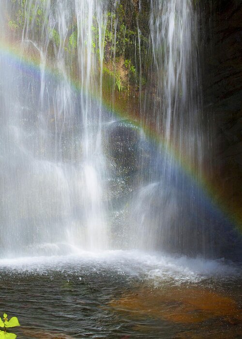 Rainbow Falls Greeting Card featuring the photograph Natures Rainbow Falls by Jerry Cowart