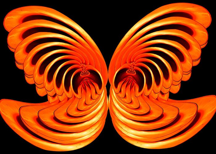 Composite Greeting Card featuring the photograph Nautilus Wings by Jim Painter