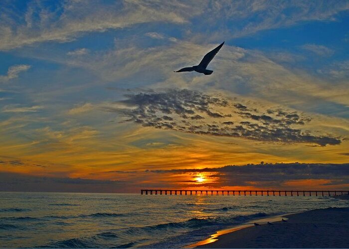 Landscape Greeting Card featuring the photograph Navarre Beach and Pier Sunset Colors with Gulls and Waves by Jeff at JSJ Photography