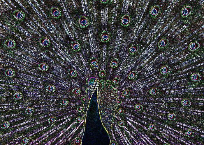 Birds Greeting Card featuring the photograph Neon Peacock by Ernest Echols