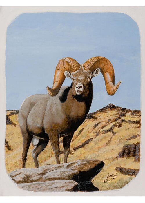 Nevada Greeting Card featuring the painting Nevada California Bighorn by Darcy Tate