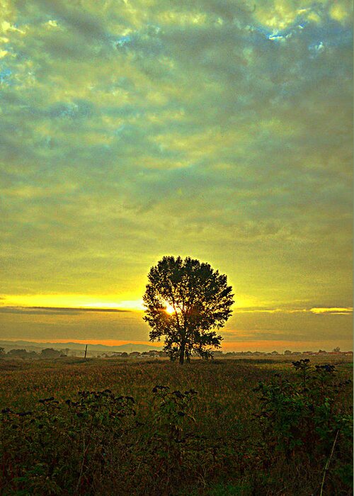 Landscape Greeting Card featuring the photograph New day by Rumiana Nikolova