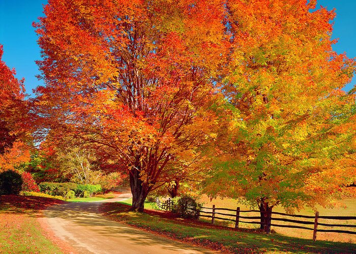 Scenics Greeting Card featuring the photograph New England Autumn Country Road by Dszc