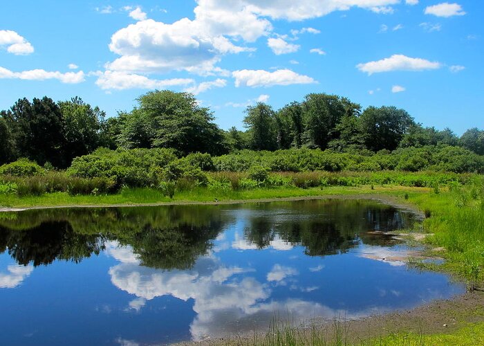 Martha's Vineyard Pond Photos Greeting Card featuring the photograph New England Pond by Sue Morris
