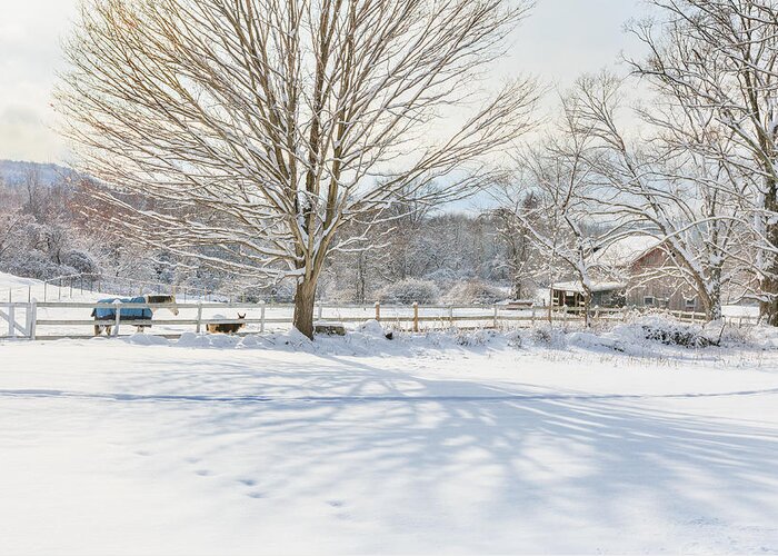 New England Winter Greeting Card featuring the photograph New England Winter by Bill Wakeley