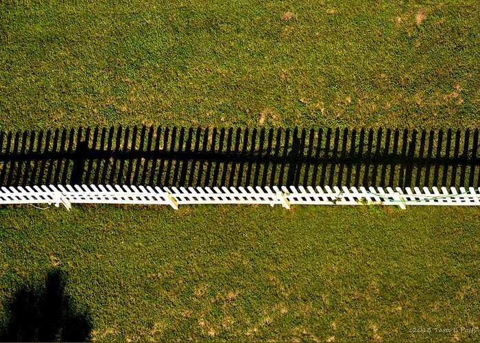 Picket Fence Greeting Card featuring the photograph New Perspective of the Picket Fence by Tara Potts