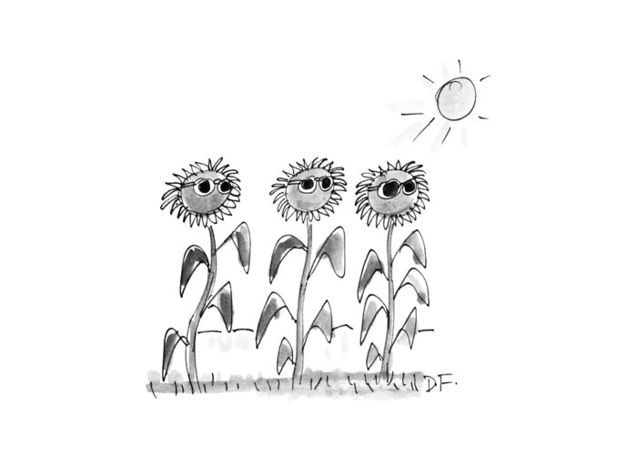 No Caption
Sunflowers Stand Wearing Sunglasses. 
No Caption
Sunflowers Stand Wearing Sunglasses. 
Flowers Greeting Card featuring the drawing New Yorker June 18th, 1990 by Dana Fradon