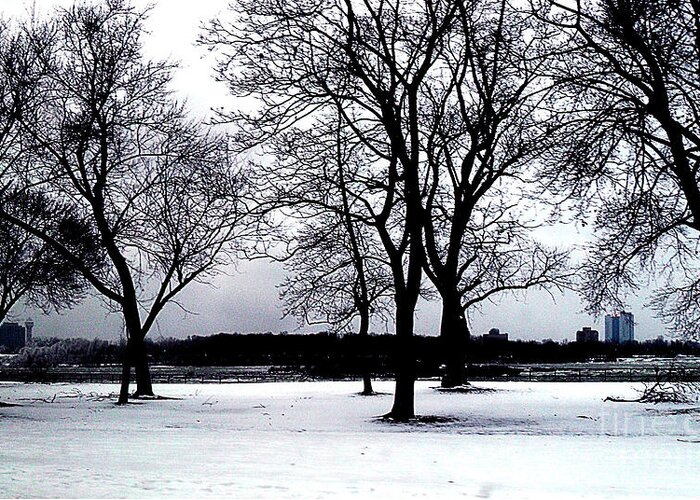 Landscape Greeting Card featuring the photograph Niagara Winter Beauty by Iris Gelbart