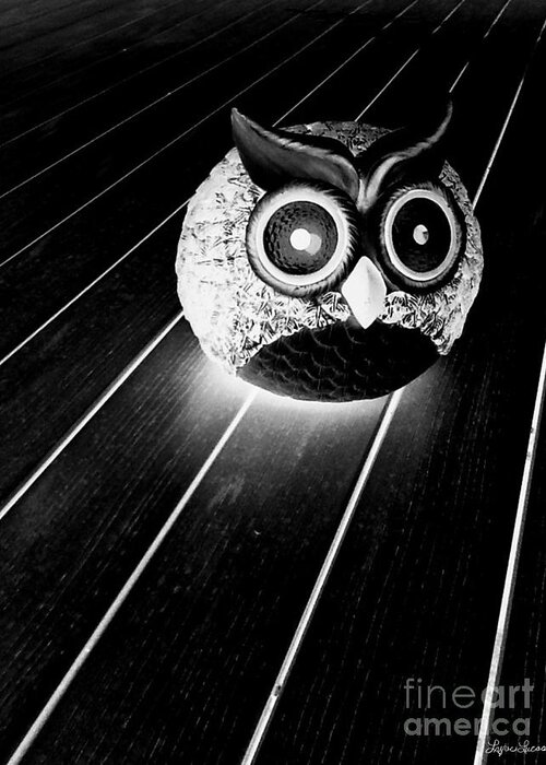 Still Life Greeting Card featuring the photograph Night Owl by Lyric Lucas