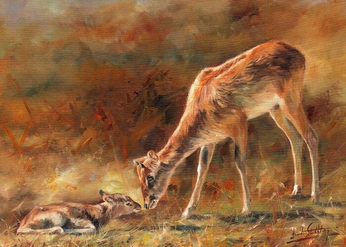 Antelope Greeting Card featuring the painting Nile Lechwe and Newborn by David Stribbling