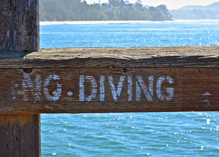 Diving Greeting Card featuring the photograph No Diving by Bill Owen