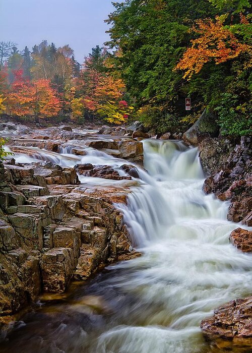 Autumn Greeting Card featuring the photograph No Swimming Rocky Gorge Albany NH by Jeff Sinon