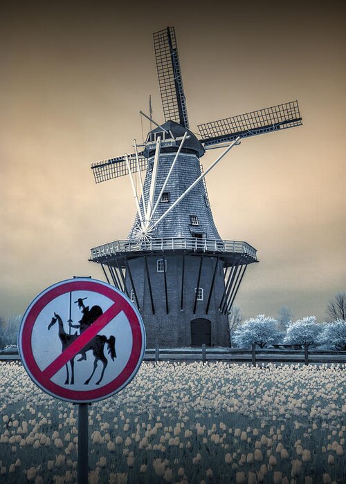 Landscape Greeting Card featuring the photograph No Tilting at Windmills by Randall Nyhof