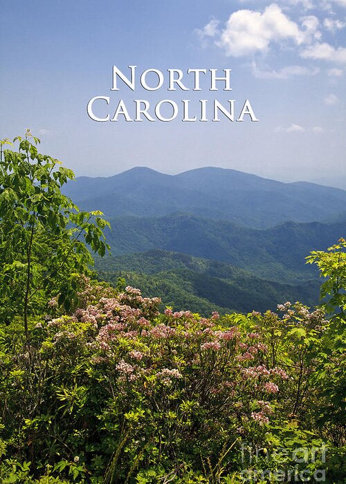 Roan Greeting Card featuring the photograph North Carolina Mountains by Jill Lang