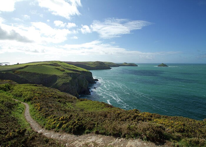 Scenics Greeting Card featuring the photograph North Cornwall Coast Path, England by Dr T J Martin